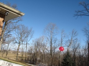 balloon flying away