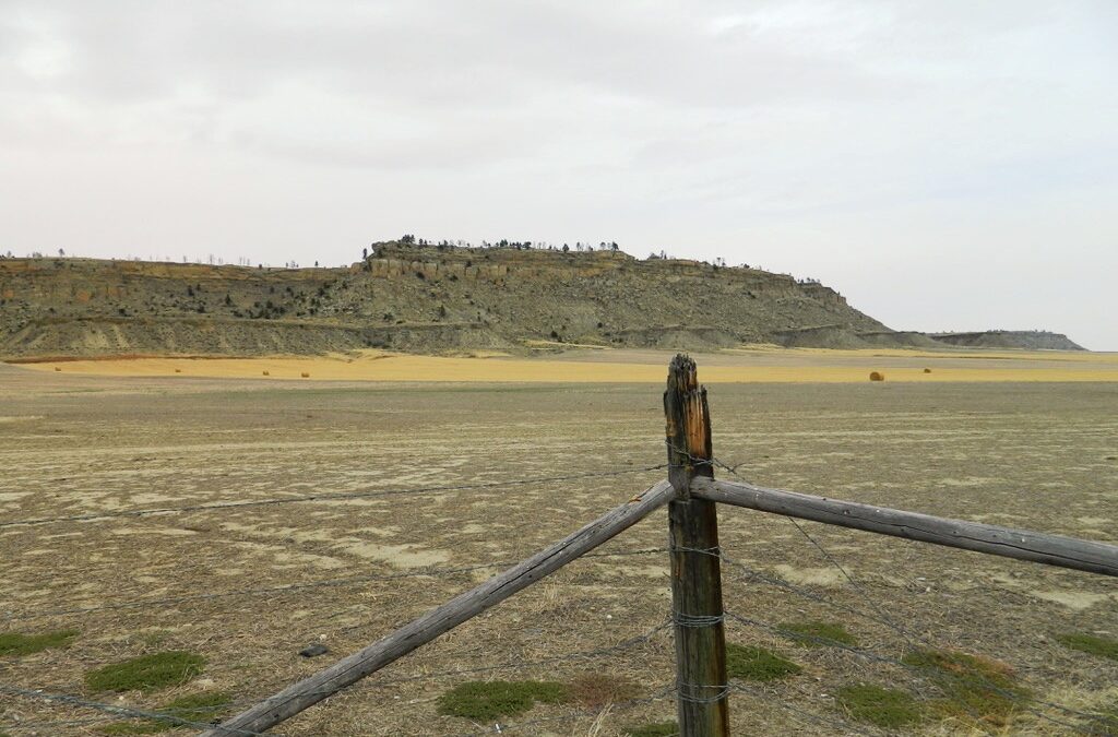 Day 5:  Gardiner to Billings, MT (The Rimrocks and Battlefields)